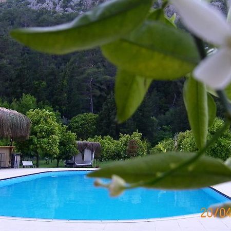 Portalimo Lodge Hotel - Adult Only +12 Чирали Екстериор снимка