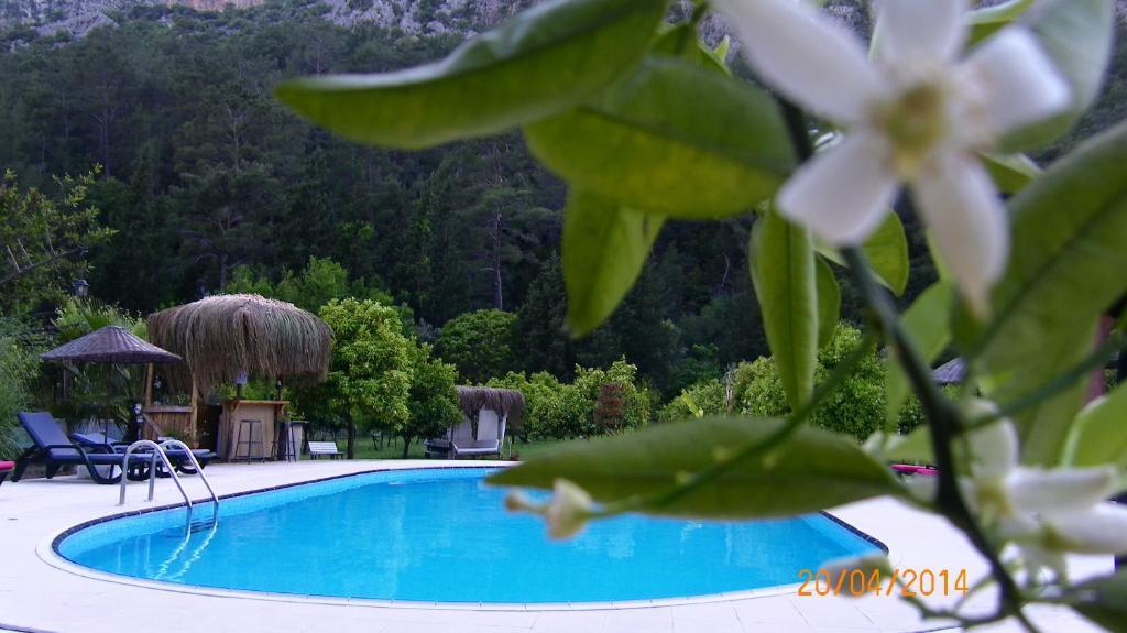 Portalimo Lodge Hotel - Adult Only +12 Чирали Екстериор снимка
